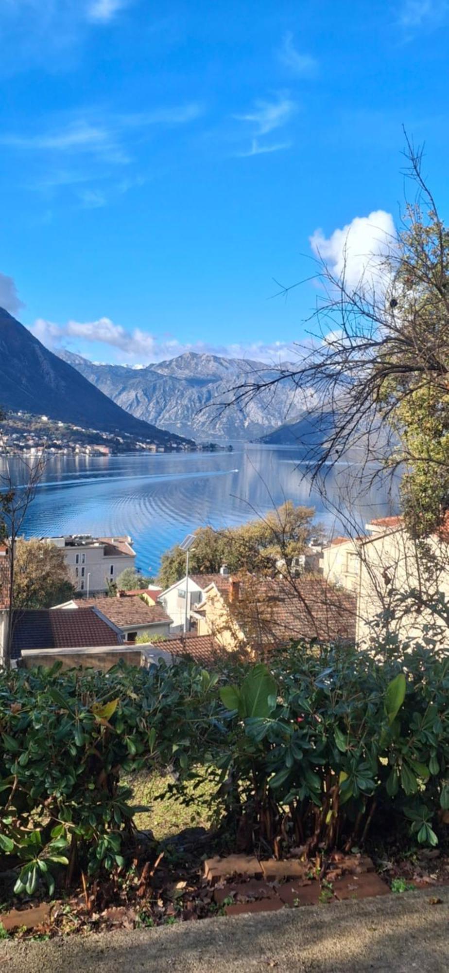 Milka Apartment Kotor Eksteriør bilde